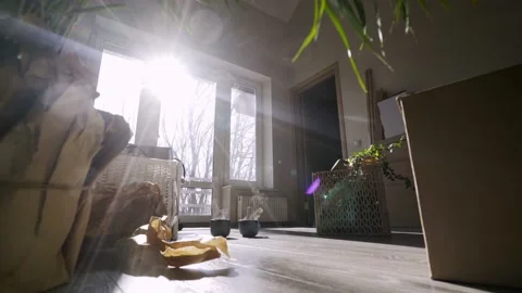 Dark spacious interior with boxes for moving Stock-Footage 145396429