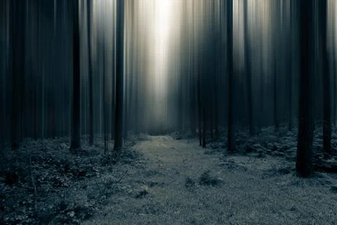 A dark spooky, moody path through the forest. With a grunge edit Stock Photos