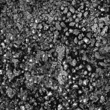 Dark spots of Viruses causing various diseases under strong microscope Stock Photos