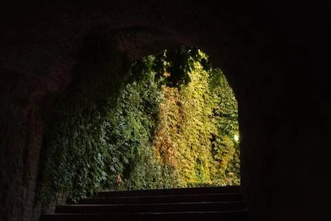 Dark stone archway frames a lush, vine-covered wall Stock Photos