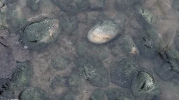 Dark stone pebbles in the water at a beach shore, murky stones  Stock Footage 85756098