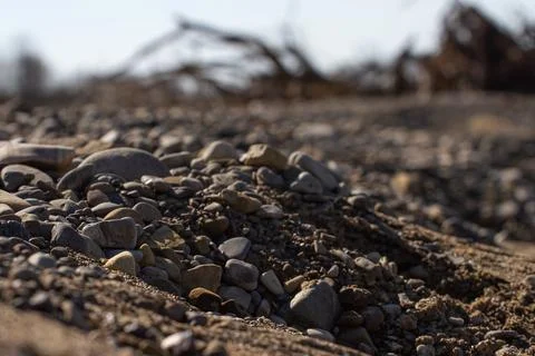 Dark stone-sand beach in the rays of sunset Stock Photos