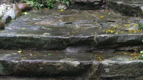 Dark stone stairs in the rain. Stockbeeldmateriaal 131080185