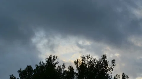 Dark storm avobe the trees during sunset 02 스톡 동영상 30006481