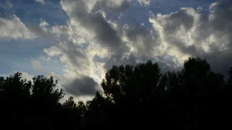 Dark storm avobe the trees during sunset 01 库存影片 30020451