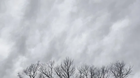 Dark Storm Clouds Above Bare Winter Trees Видео 344779384