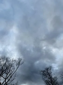 Dark Storm Clouds Above Bare Winter Trees Stock Photos