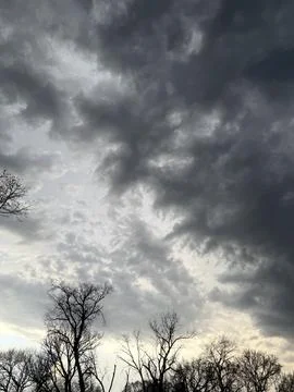 Dark Storm Clouds Above Bare Winter Trees 写真素材