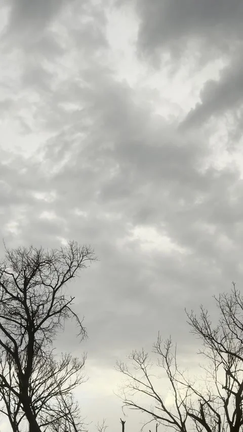 Dark Storm Clouds and Bare Trees at Dusk Video stock 344883683