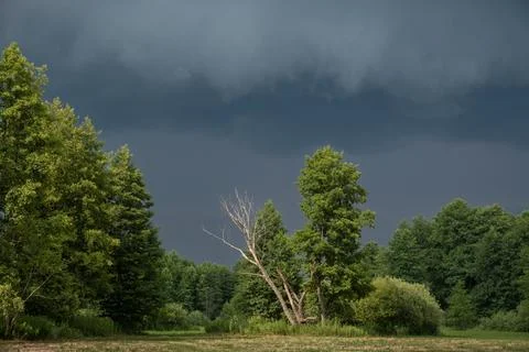 Dark Storm Clouds and Shelf Cloud Approaching Green Meadow and Forest Landsca Stock Photos