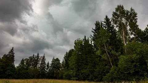 Dark storm clouds approaching. 4k timelapse landscape Stock Footage 313454332