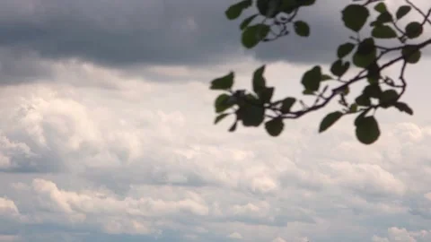 Dark Storm Clouds Behind Tree Branches Stock Footage 330472653