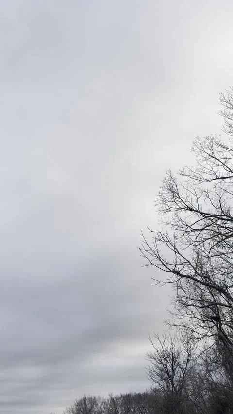 Dark Storm Clouds Framed by Bare Branches Video stock 344807470