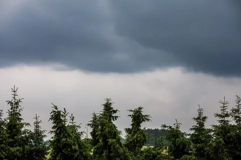 Dark storm clouds gather ominously over a line of evergreen trees Stock Photos