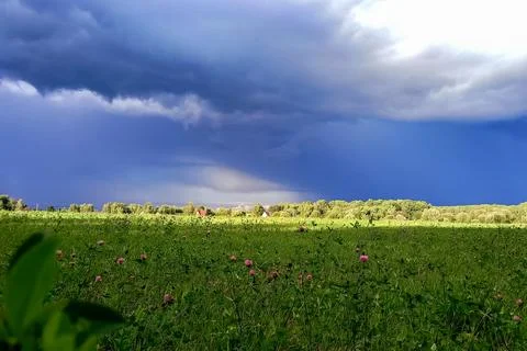 Dark storm clouds gather over lush green meadow with scattered pink wildflowe Stock Photos