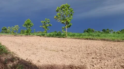 Dark storm clouds gathering over dry rural land with wind Video stock 336534187