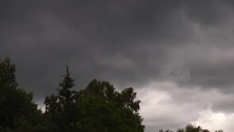 Dark Storm Clouds Gathering Over Tree Tops 4K Video Dramatic Weather Approa.. 動画素材 336964418