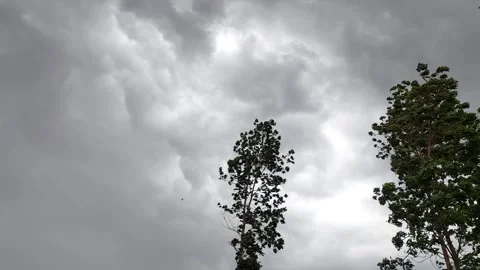 Dark Storm Clouds Gathering with Strong Wind Before Rain Video stock 334569195
