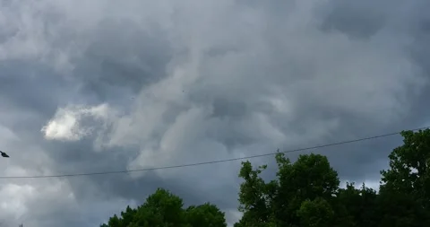 Dark Storm Clouds Moving Across Summer Sky Above Trees Stock Footage 337329881