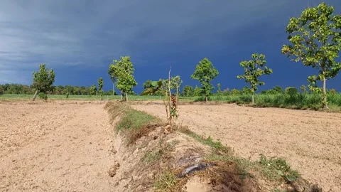 Dark storm clouds moving over dry agricultural land in windy weather Video stock 336534048