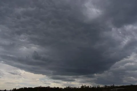 Dark storm clouds over a dark strip of forest Stock Photos
