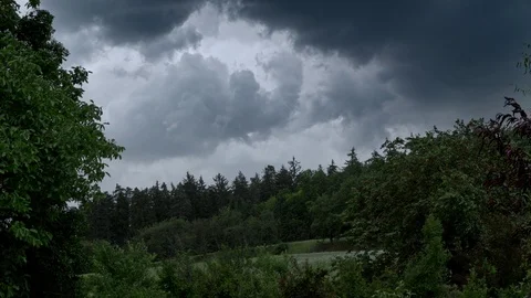 Dark storm clouds over forest Stock Footage 92327498