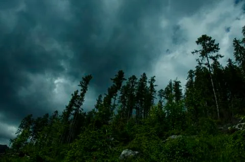 Dark Storm Clouds Over Forest Stock Photos