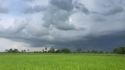 Dark Storm Clouds Over Lush Green Rice Fields In Rural Cambodia Stock Footage 341124585