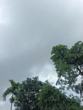 Dark Storm Clouds Over Lush Green Trees Storm Clouds Overcast Sky Rain Clou 스톡 사진