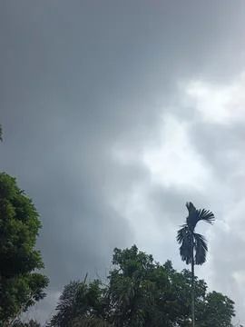 Dark Storm Clouds Over Lush Green Trees Storm Clouds Overcast Sky Rain Clou 스톡 사진