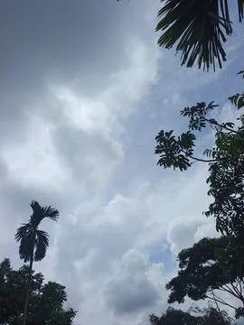 Dark Storm Clouds Over Lush Green Trees Storm Clouds Overcast Sky Rain Clou 스톡 사진