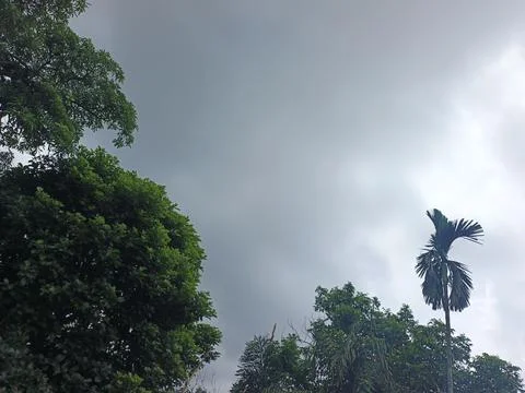 Dark Storm Clouds Over Lush Green Trees Storm Clouds Overcast Sky Rain Clou 스톡 사진