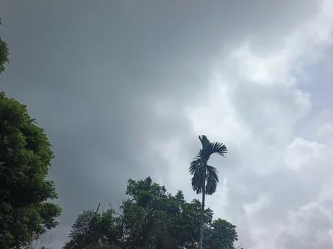 Dark Storm Clouds Over Lush Green Trees Storm Clouds Overcast Sky Rain Clou 스톡 사진