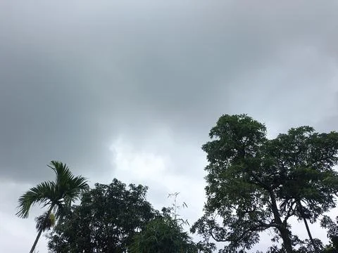 Dark Storm Clouds Over Lush Green Trees Storm Clouds Overcast Sky Rain Clou Foto stock