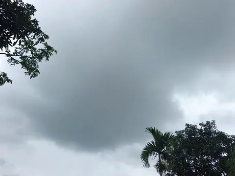 Dark Storm Clouds Over Lush Green Trees Storm Clouds Overcast Sky Rain Clou Stock Photos