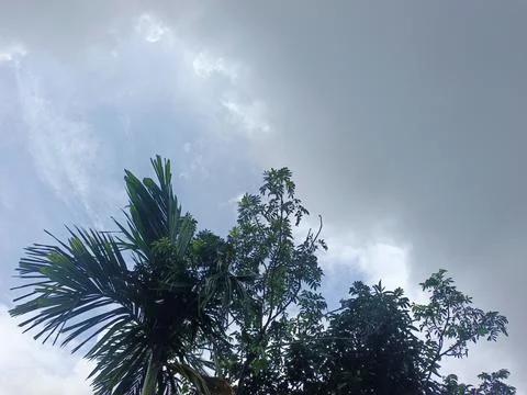 Dark Storm Clouds Over Lush Green Trees Storm Clouds Overcast Sky Rain Clou Foto stock