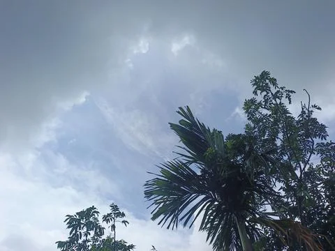 Dark Storm Clouds Over Lush Green Trees Storm Clouds Overcast Sky Rain Clou 스톡 사진