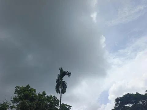 Dark Storm Clouds Over Lush Green Trees Storm Clouds Overcast Sky Rain Clou 스톡 사진