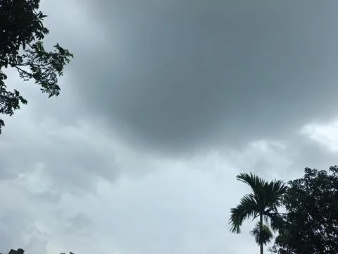Dark Storm Clouds Over Lush Green Trees Storm Clouds Overcast Sky Rain Clou 스톡 사진