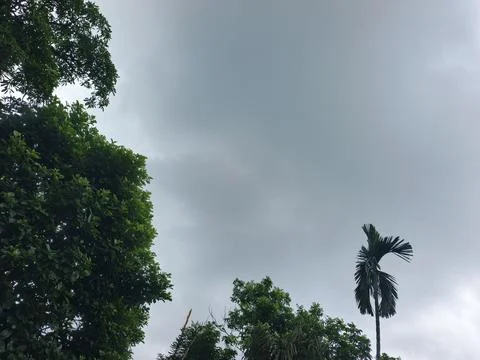 Dark Storm Clouds Over Lush Green Trees Storm Clouds Overcast Sky Rain Clou Stock Photos