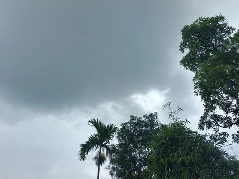 Dark Storm Clouds Over Lush Green Trees Storm Clouds Overcast Sky Rain Clou Foto stock