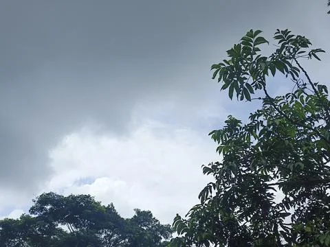 Dark Storm Clouds Over Lush Green Trees Storm Clouds Overcast Sky Rain Clou Stock Photos