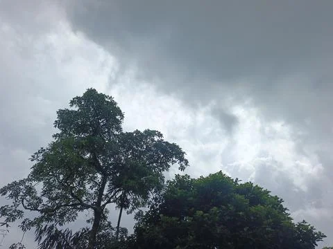 Dark Storm Clouds Over Lush Green Trees Storm Clouds Overcast Sky Rain Clou 스톡 사진