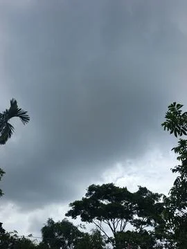 Dark Storm Clouds Over Lush Green Trees Storm Clouds Overcast Sky Rain Clou 스톡 사진