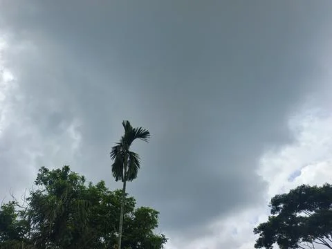 Dark Storm Clouds Over Lush Green Trees Storm Clouds Overcast Sky Rain Clou Foto stock