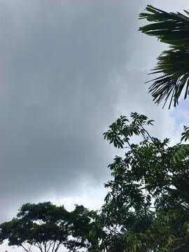 Dark Storm Clouds Over Lush Green Trees Storm Clouds Overcast Sky Rain Clou Foto stock