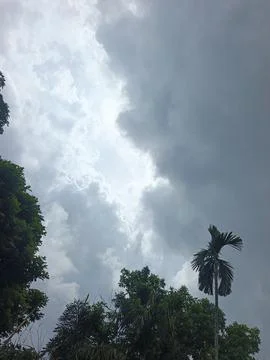 Dark Storm Clouds Over Lush Green Trees Storm Clouds Overcast Sky Rain Clou 스톡 사진