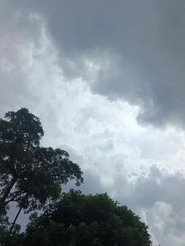 Dark Storm Clouds Over Lush Green Trees Storm Clouds Overcast Sky Rain Clou 스톡 사진