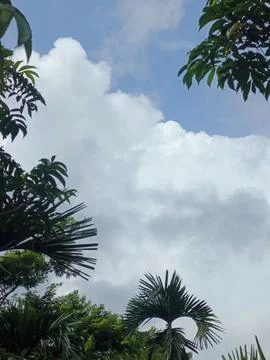 Dark Storm Clouds Over Lush Green Trees Storm Clouds Overcast Sky Rain Clou Foto stock
