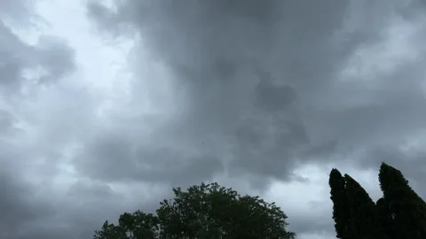 Dark storm clouds over trees Stock Footage 315135122